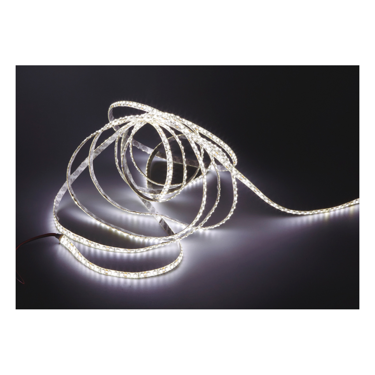 Rollo LED ADAM